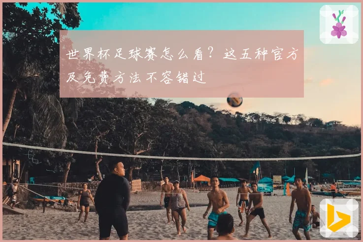 世界杯足球赛怎么看？这五种官方及免费方法不容错过