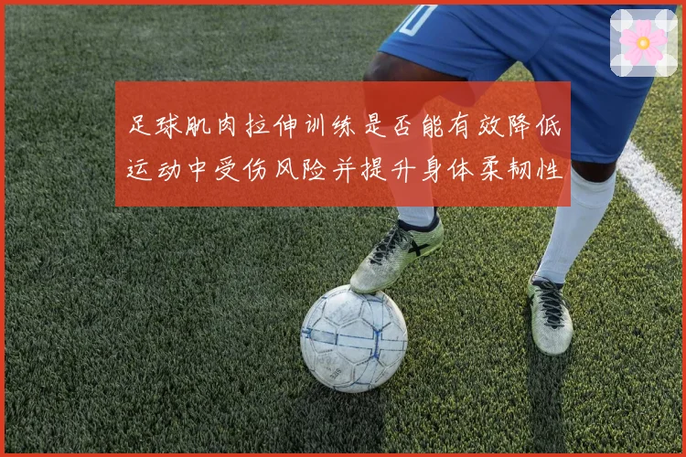 足球肌肉拉伸训练是否能有效降低运动中受伤风险并提升身体柔韧性